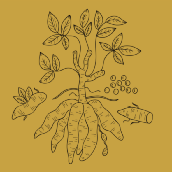 Cassava Resist Dye: Reviving an Endangered African Indigenous Textile Practice